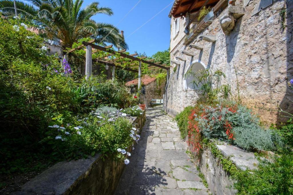 דוברובניק Stella City Center Accommodation מראה חיצוני תמונה